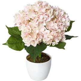 Creativ green Kunstpflanze »Hortensie«, im Keramiktopf, rosa