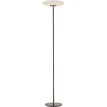 neuhaus pure PURE Vitrum 59020 Braun