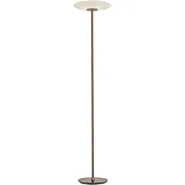neuhaus pure PURE Vitrum 59020 Braun