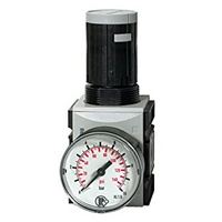 Riegler Präzisionsdruckregler »FUTURA «, mit Mano, BG 2, G