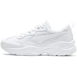 Puma Cilia