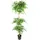 Leaf Realistischer künstlicher japanischer Ficus-Baum, 180 cm, dreifache Kugel, Fruticosa