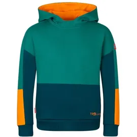 TROLLKIDS Hoodie Mehrfarbig 110