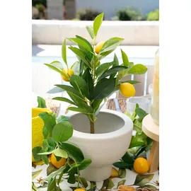 Everlands Kunstpflanze Zitronenbaum CITRON, Gelb - Grün - H 43 cm - schwarzer Kunststofftopf