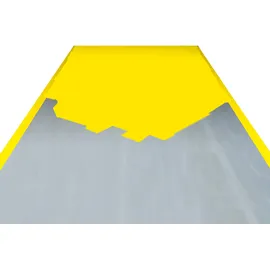 MORAVIA PROline-paint Hallenmarkierfarbe Signalgelb 5 l