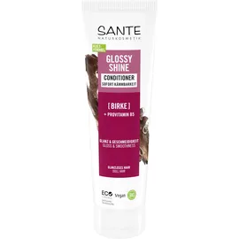 Sante Naturkosmetik Glossy Shine Conditioner 150 ml - mit Bio-Birkenblatt & Provitamin B5 - für glanzloses Haar - silikonfrei & vegan - dermatologisch getestet