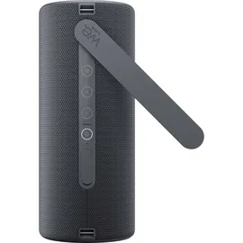 Loewe We. HEAR 2 storm grey