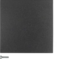 Berker KNX-Funk Taste 1fach 85145185