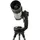 Celestron Origin Mark II