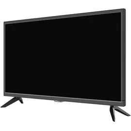 Reflexion LED2425 24" LED Full HD Camping TV