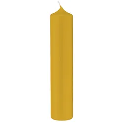 Kopschitz Kerzen 12 Altar Kerzen Senf Mustard 20 x 5 cm im XXL Format
