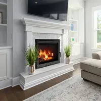 Kratki Wasserführender Kamineinsatz ZUZIA 12 kW Ø 200