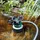 Metabo TPS 16000 S Combi