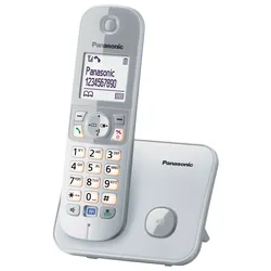 DECT-Telefon KX-TG6811GS