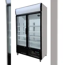 Skyrainbow Getränkekühlschrank mit Display, Inhalt 810 Liter
