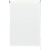 GARDINIA Seitenzug-Rollo Lichtdurchlässig 122 x 180 cm weiß