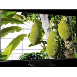 TCL 50Q7C 50 Zoll QLED MiniLED 4K Google TV