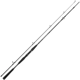 Daiwa Seahunter X Pilk Coalfish 802H, 2 Teile, 2,40m, 40-120g, Meeresangelrute, 11533-245