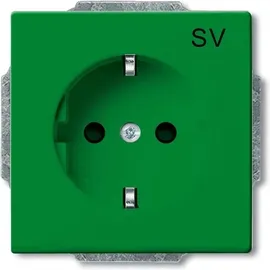 Busch-Jaeger Steckdoseneinsatz 20 EUC-13-82-101 Grün