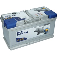 Starterbatterie 12V 100Ah 870A/EN Bären Blu Polar Autobatterie Neu Wartungsfrei