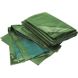 RAINEXO Abdeckplane, 150g/qm, 3x4m, gr/bl