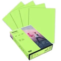 Inapa tecno colors A4 80 g/m2 500 Blatt grün