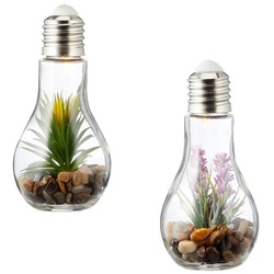 Levandeo® LED Dekoobjekt, 2er Set Sukkulenten Glühbirne Glas je B x H 8 x 19cm Deko LED Lampe