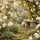 Ambiente Haus Gartenstecker Ruhezone (H) 122cm 32 x 122 cm Grau