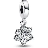 Pandora Funkelnder Pfotenabdruck Silber 792247C01