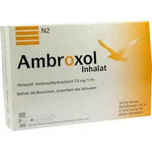 Penta Arzneimittel GmbH Ambroxol Inhalat