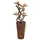 Europalms Paradiesvogel-Blume, orange, 95cm