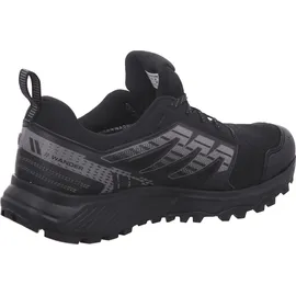 Salomon WANDER GTX Black/Pewter/Frost schwarz, 42