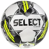Select Club DB FIFA Basic Ball grau|weiß 4