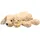 Steiff Soft Cuddly Friends Floppy Lumpi Hund 20 cm Braun