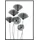 Gilde Wandrelief Mohn