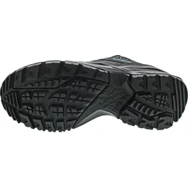 Lowa Sirkos Evo GTX LO Herren Graphit/Blau 44