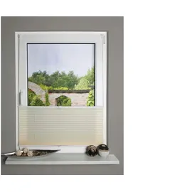 HOME WOHNIDEEN Schmidt Plissee Uni 60 x 130 cm Polyester Beige Creme