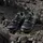 adidas Herren Trekkinghalbschuhe Terrex Skychaser GORE-TEX Wanderschuh - Carbon / Grey One / Halo Green - 49 1/3 in Grau CARBON/GREONE/HALGRN