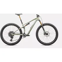 Specialized Epic 8 Pro Evo 29 Zoll RH 0 cm fast green/spring/metallic spring