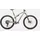 Specialized Epic 8 Pro Evo 29 Zoll RH 0 cm fast green/spring/metallic spring