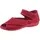 Classic Dog Hausschuh Rot 41