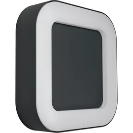 LEDVANCE Außenleuchte Aluminium 4,5 cm inkl. Bewegungsmelder grau