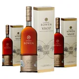 Bowen Cognac VSOP 40 % vol 0,7 l