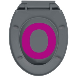 vidaXL Toilettensitz mit Absenkautomatik Quick-Release Grau Oval