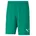 Teamrise Short Jr