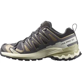 Salomon XA Pro 3D V9 GTX Damen Nine Iron/Oxford Tan/Alfalfa 36