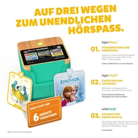 Tiger Media Tigerbox Touch Plus grün