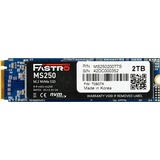 MEGA Electronics Fastro MS250 SSD 2TB, M.2 2280/M-Key/PCIe 3.0 x4 (MS250200TTS)