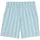 Puma Class 8" Shorts Herren 48 - fresh water