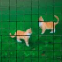 Versele-Laga Maschendrahtzaun 0,5 x 5 m grün